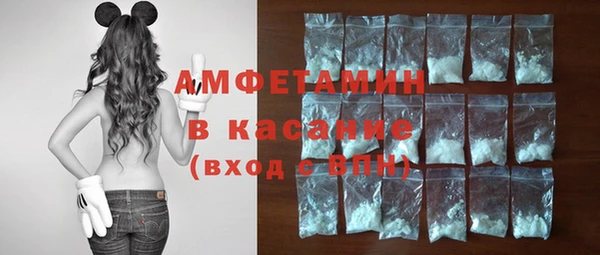 прущие грибы Баксан