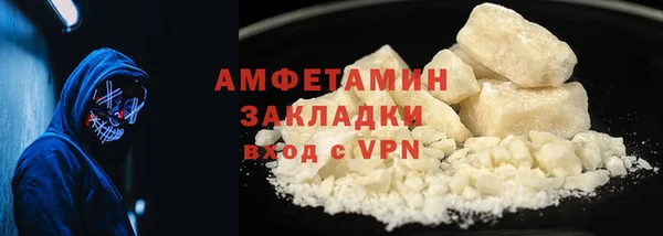 прущие грибы Баксан