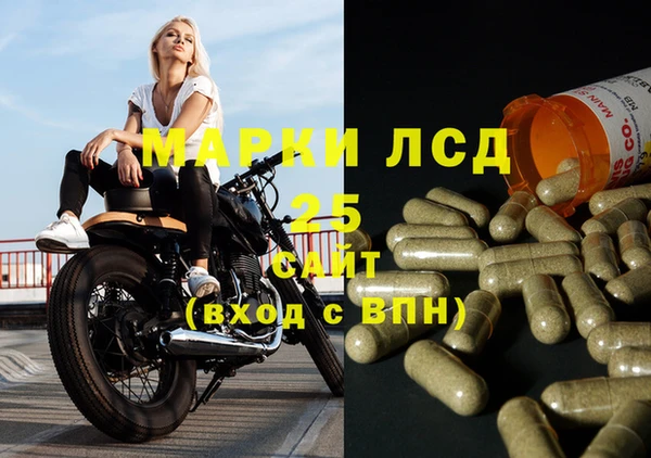 прущие грибы Баксан