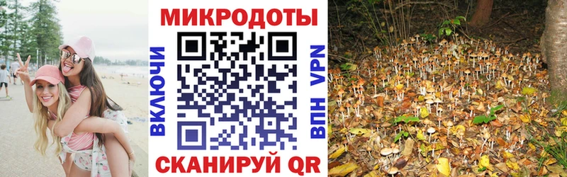 darknet телеграм  Белая Холуница  Псилоцибиновые грибы GOLDEN TEACHER  как найти закладки 