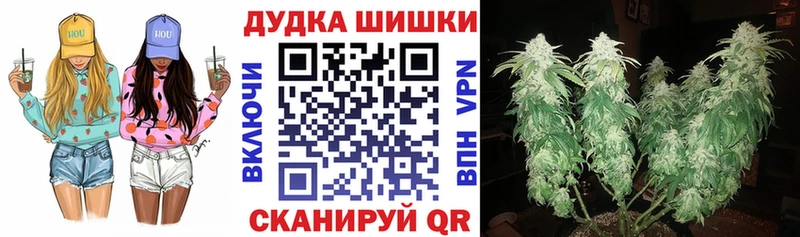 где купить наркотик  Белая Холуница  Бошки Шишки AK-47 